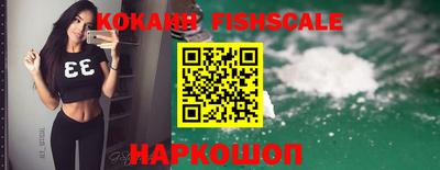 крисы Пенза