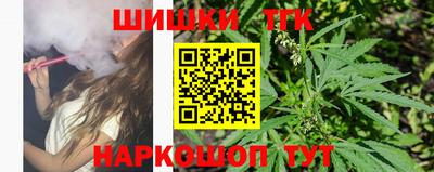 крисы Пенза