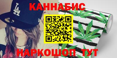 крисы Пенза
