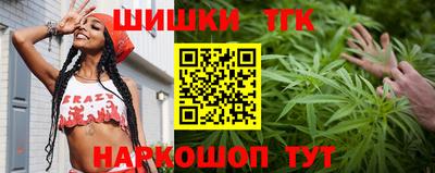 крисы Пенза