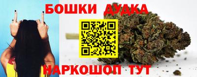 крисы Пенза