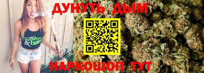 крисы Пенза