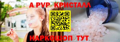 крисы Пенза
