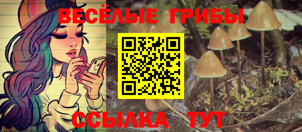Узловая  купить наркотик  Псилоцибиновые грибы ЛСД  Вход с VPN  Галлюциногенные грибы Psilocybe 